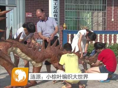 涟源：小棕叶编织大世界