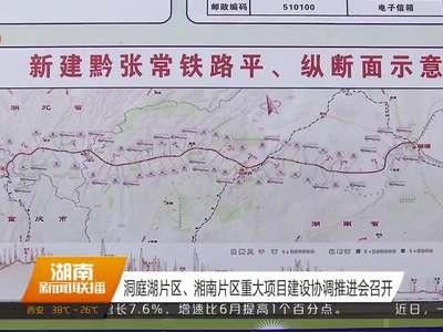洞庭湖片区、湘南片区重大项目建设协调推进会召开