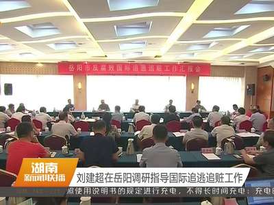 刘建超在岳阳调研指导国际追逃追赃工作