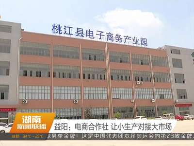 益阳：电商合作社 让小生产对接大市场