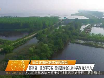 生态文明体制改革调度会 陈向群：抓改革落实 在领跑绿色发展中实现更大作为