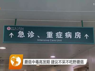 蘑菇中毒高发期 建议不采不吃野蘑菇