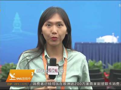 4家湘企业参加B20峰会