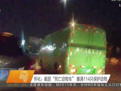 怀化：截获“死亡动物车” 塞满114只保护动物
