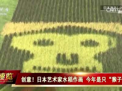 [视频]日本艺术家水稻作画 今年是只“猴子”