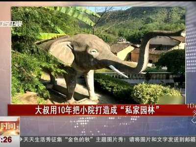 [视频]大叔用10年把小院打造成“私家园林”