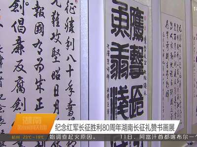 纪念红军长征胜利80周年湖南长征礼赞书画展