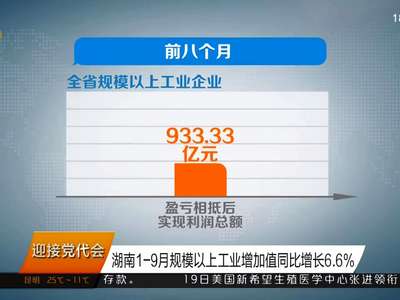 湖南1-9月规模以上工业增加值同比增长6.6%