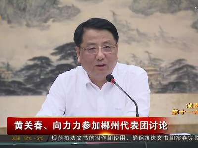 黄关春、向力力参加郴州代表团讨论