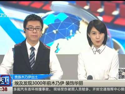 [视频]埃及发现3000年前木乃伊 装饰华丽