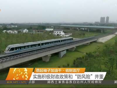 撸起袖子加油干·省财政厅 实施积极财政政策和“防风险”并重