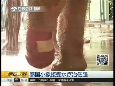[视频]泰国小象接受水疗治伤腿