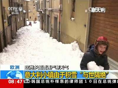 [视频]欧洲多国遭遇严寒天气