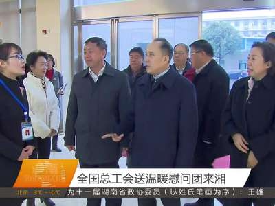 全国总工会送温暖慰问团来湘