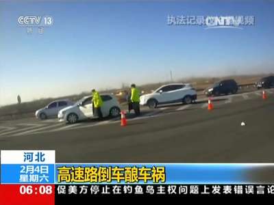 [视频]高速路倒车酿车祸