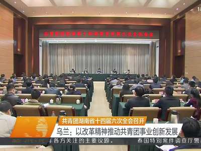 共青团湖南省十四届六次全会召开 乌兰：以改革精神推动共青团事业创新发展