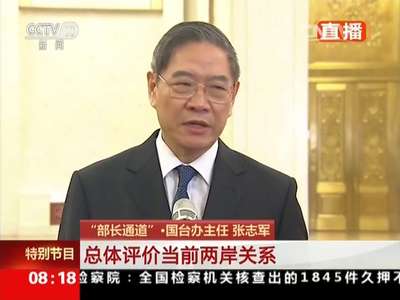 [视频]“部长通道”·国台办主任张志军：总体评价当前两岸关系