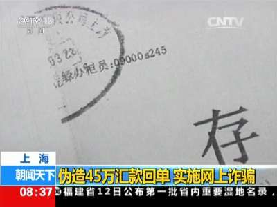 [视频]上海：伪造45万汇款回单 实施网上诈骗