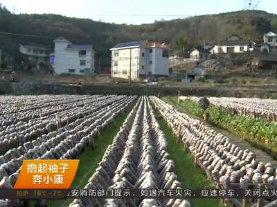 撸起袖子奔小康 湘西州：党建引领精准扶贫 农村党员成中坚力量