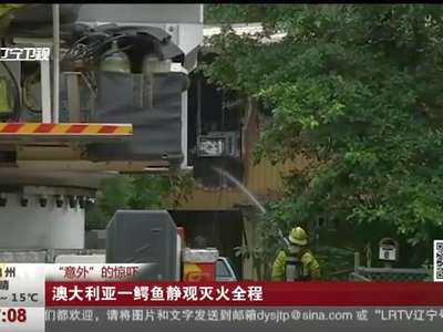 [视频]“意外”的惊吓：澳大利亚一鳄鱼静观灭火全程