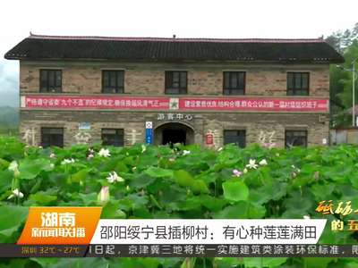 邵阳绥宁县插柳村：有心种莲莲满田