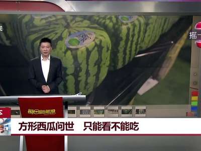 [视频]日本：方形西瓜问世 只能看不能吃