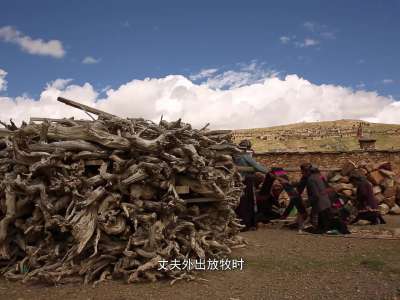 这里是西藏-快乐牧民（中文版）