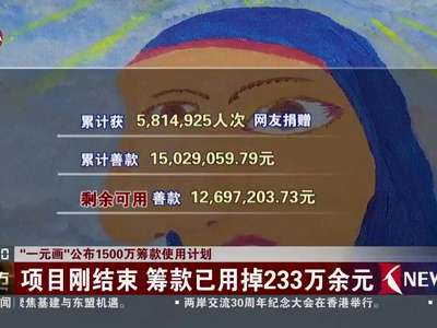 [视频]“一元画”公布1500万筹款使用计划