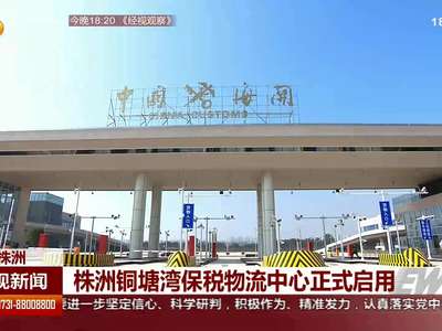 株洲铜塘湾保税物流中心正式启用
