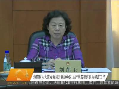 湖南省人大常委会召开党组会议 从严从实推进巡视整改工作