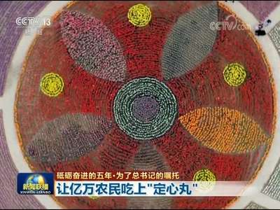 [视频]【砥砺奋进的五年·为了总书记的嘱托】让亿万农民吃上“定心丸”