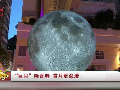 [视频]“巨月”降香港 赏月更浪漫