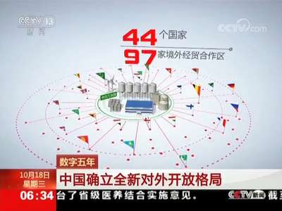 [视频]数字五年：中国确立全新对外开放格局