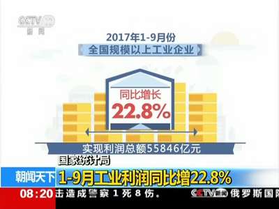 [视频]国家统计局 1-9月工业利润同比增22.8%