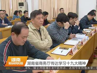 湖南省商务厅传达学习十九大精神