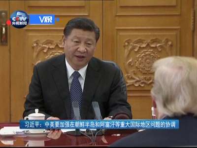 [视频]习近平：继续发挥元首外交对两国关系的战略引领作用