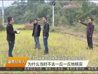 最美纪检人 怀化纪检机关 拍“苍蝇”又准又狠