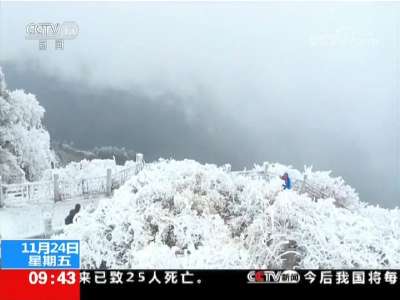 [视频]低温天气带来降雪 多地雪景美如画