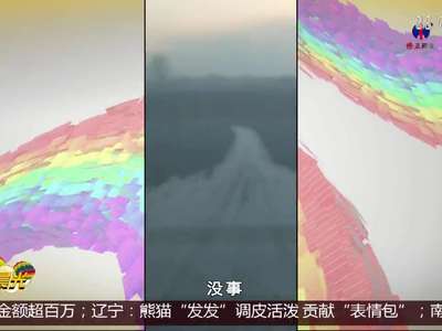 [视频]东北虎再现身 与人“面对面”