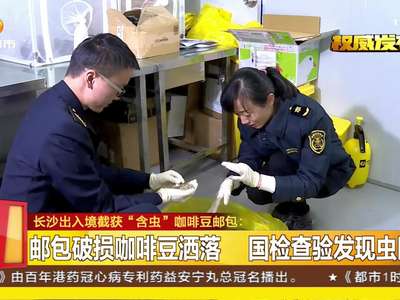 长沙出入境截获“含虫”咖啡豆邮包