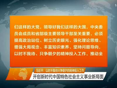 习近平：以时不我待只争朝夕的精神投入工作 开创新时代中国特色社会主义事业新局面