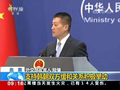 [视频]中国外交部：支持韩朝双方缓和关系积极举动