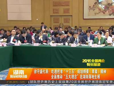 十二届全国人大四次会议湖南代表团举行第四次全体会议