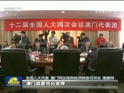 [视频]【代表委员议国是】港澳代表谈发展：改善民生 发展经济