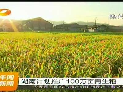 湖南计划推广100万亩再生稻