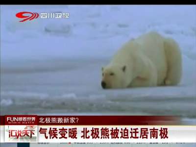 [视频]气候变暖 北极熊被迫迁居南极