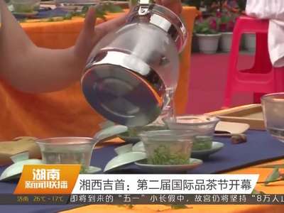 湘西吉首：第二届国际品茶节开幕