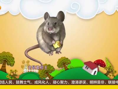 [视频]成都一狗狗专注抓耗子5年多 成明星网红