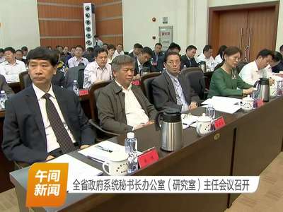 全省政府系统秘书长办公室（研究室）主任会议召开