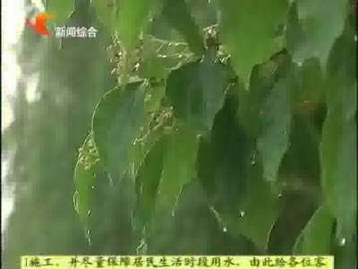 益阳：暴雨来袭 交警市政多措并举保畅通